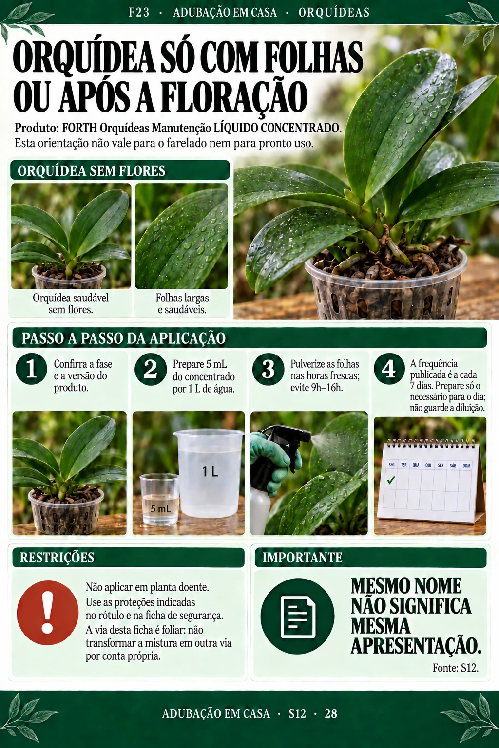 Orquídea: apresentação líquida concentrada