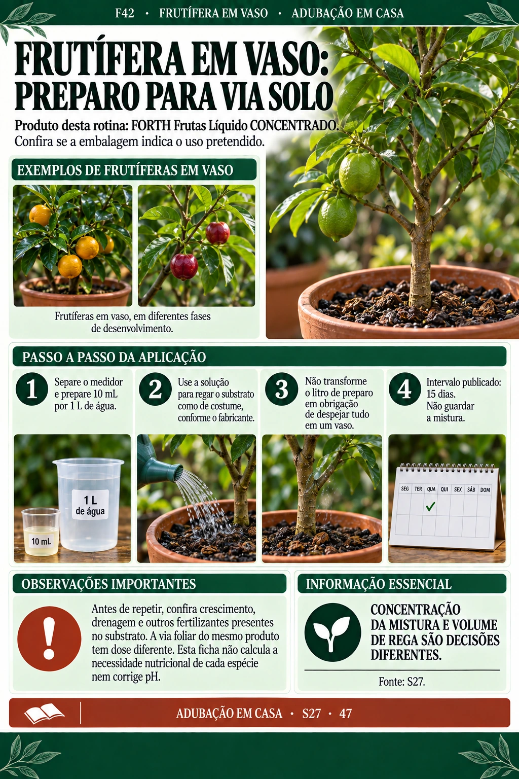 Frutífera em vaso: preparo pela via solo