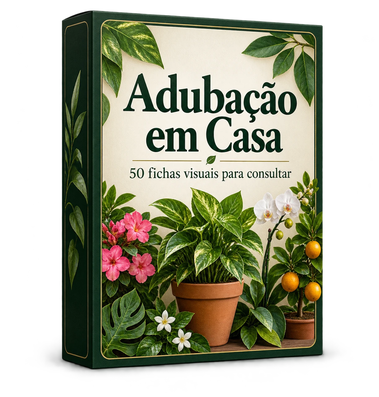 Adubação em Casa — produto principal do Plano Básico